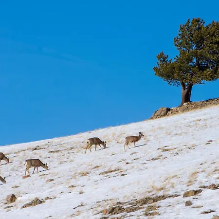 Sundog Condo In Granby Ranch Esterno foto